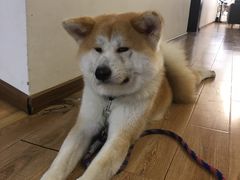 -YCHL Studios健身工作室(市二宫店)
