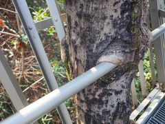 -福道