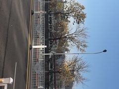 -海河游船-永乐码头(大悲院)