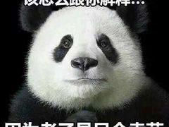 -中关村茶点