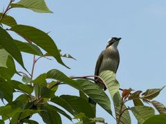 -太阳宫公园