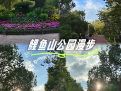 -鲤鱼山公园