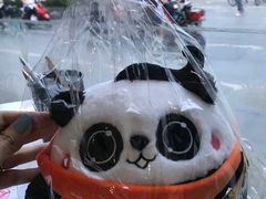 -熊猫邮局(少城店)