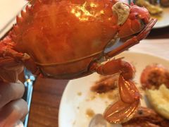 -嘉定凯悦·咖啡厅