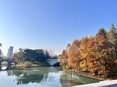-尚贤河湿地