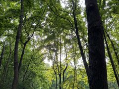 -杭州植物园