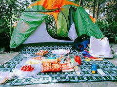 -铁山坪森林公园