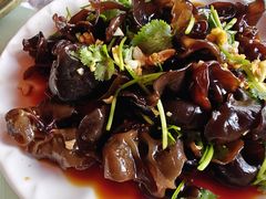 -夏雨路轩特色餐厅·十年经营