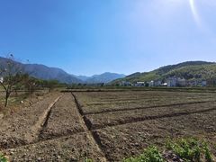 -仙霞关景区