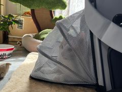 -北京赛佳动物医院