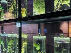 -广东中医药博物馆