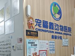 -宠福鑫康馨动物医院·骨科·眼科