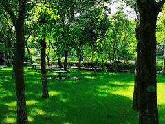 -上海海湾国家森林公园