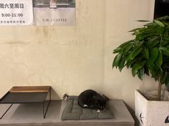 -稀物集咖啡(徽州大道店)