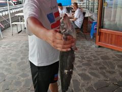 -镜泊湖聚仙楼鱼馆