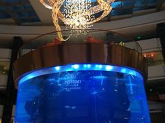 -佛山希尔顿酒店·融誉亚洲美食荟