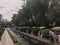 -水车博览园