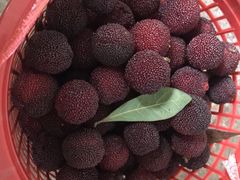 -太湖好灶头土菜馆(石公路店)