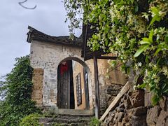 -杨家堂村