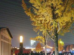 -大雁塔北广场音乐喷泉