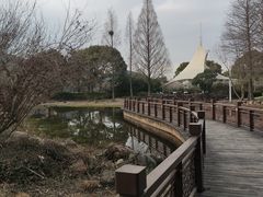 -长广溪湿地公园