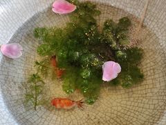 -绝城芋儿鸡(犀浦旗舰店)