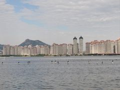 -厦门园林博览苑