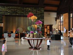 -三亚湾海居铂尔曼度假酒店