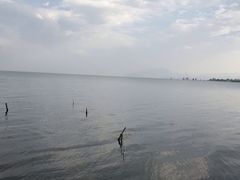 -恋羊时代黑山羊火锅(滨海大道店)