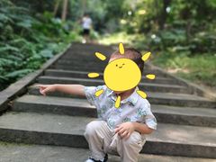 -火炉山森林公园