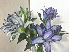 -海陆丰明凤擂茶