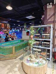 -卡通尼·Safari非洲探索乐园·生日会(金桥国际商业广场店)