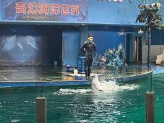 -苏州海洋馆
