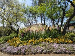 -无锡梅园公园