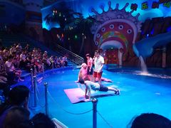 -烟台海昌鲸鲨海洋公园