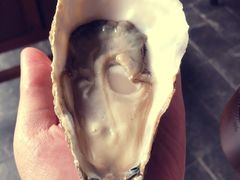 生蚝-普朗姆生蚝吧(原建国路店)