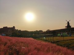 -大塘金香草谷