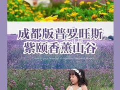 -紫颐香薰山谷景区