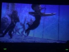 -CGV星星影城(颐堤港ScreenX店)