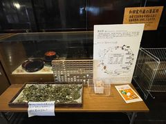 -白川乡与五箇山的合掌构造村落