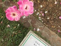 -人民公园(罗湖区)