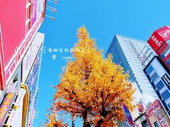 -秋叶原电器街