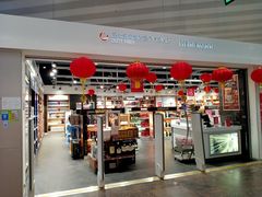 -谢列梅捷沃国际机场