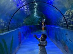 -嘉兴海底世界