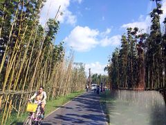 -白鹭湾湿地公园