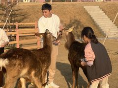 -盈香心动乐园