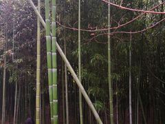 -竹泉村旅游度假区