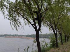 -野鸭湖国家湿地公园