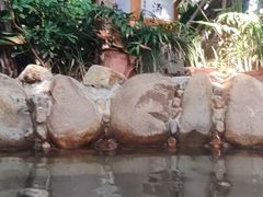 -泉眼温泉