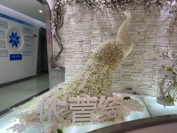 -依萱绮医疗美容